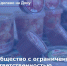 Сделано на Дону - ООО «Алые Паруса» - Мясниковский район